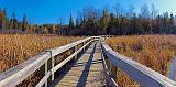 Old Quarry Boardwalk_10074-5